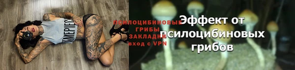 крисы Белоозёрский