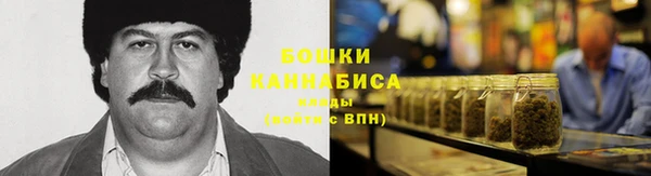 крисы Белоозёрский
