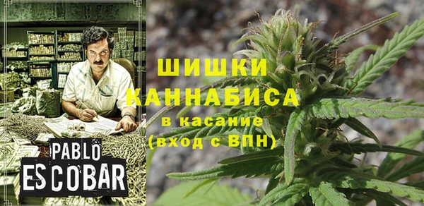 крисы Белоозёрский